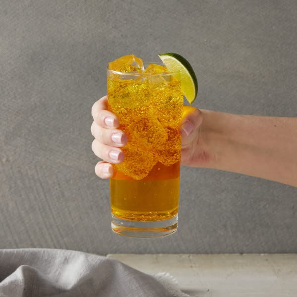 DaVinci Gourmet Classic Passion Fruit Syrup, 25.4 Fluid Ounces (Pack of 1)