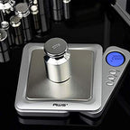 American Weigh Scales Calibration Weight for AWS Digital Scale, Carbon Steel, Solid Stainless Steel Chrome Finish, 200G (200WGT)