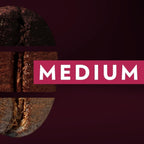 Lavazza Expert Espresso Classico Capsules