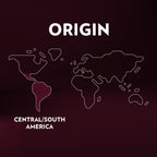 Lavazza Expert Espresso Classico Capsules