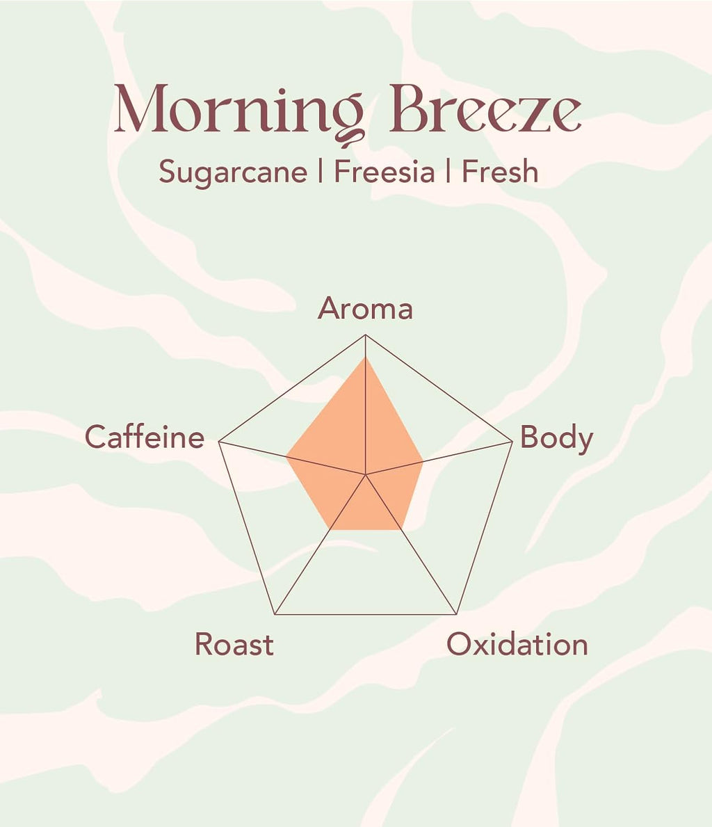 OOTINE | Morning Breeze Taiwan Oolong Tea (12 Sachets) | Lightly Oxidized for a Fresh, Green-Tea-Like Taste | Sugarcane & Freesia Notes | Hand-Picked Whole Leaves, Plastic-Free Sachets | Supports Gut Health & Multiple Infusions, Travel-Ready