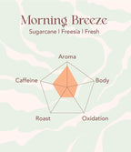OOTINE | Morning Breeze Taiwan Oolong Tea (12 Sachets) | Lightly Oxidized for a Fresh, Green-Tea-Like Taste | Sugarcane & Freesia Notes | Hand-Picked Whole Leaves, Plastic-Free Sachets | Supports Gut Health & Multiple Infusions, Travel-Ready