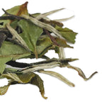 TIAN HU SHAN Premium White Tea Loose Leaf, Original Bai Mu Dan with a Light & Fresh Delicate Flavor, Low Caffeine, Hot & Cold Brew 4 Ounce (Pack of 1)