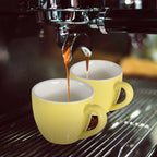 homEdge Mini Procelain Espresso Cup, 3 Ounces / 90 ml Tiny Coffee Mugs Demitasse for Espresso, Tea- Yellow