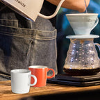 homEdge Mini Procelain Espresso Cup, 4 Ounces / 120 ml Tiny Coffee Mugs Ceramic Demitasse for Espresso, Tea- Set of 6, Assorted Color