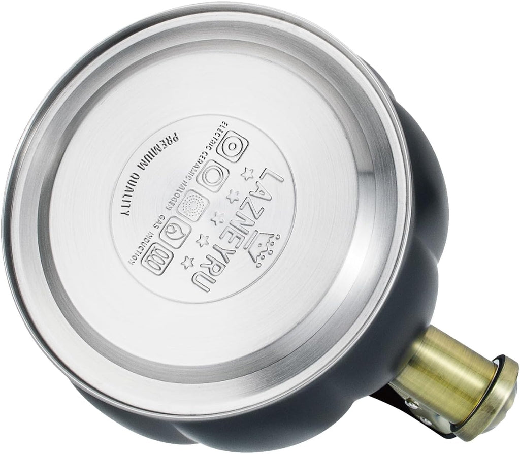 Stainless Steel Tea Kettle for Stove Top Teakettles Stovetop Whistling with Heat Proof Ergonomic Handle 2.5 Quart