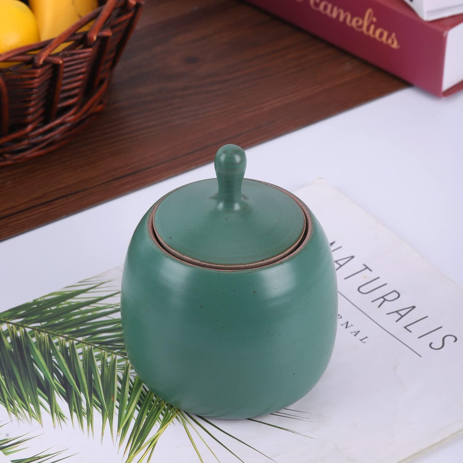 Kitchen Canisters Vintage Ceramic Food Storage Jar with Airtight Lid for Tea, Coffee, Herb, Sugar, Spice, Nuts (Ancient Green)