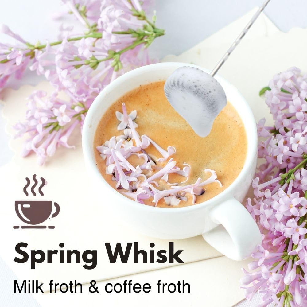 Rechargeable Milk Frother Handheld 3 Speed Coffee Foamer [3 Whisk] Electric Drink Mixer for Latte, Cappuccino, Coffee, Eggs, Hot Chocolate, Protein Black