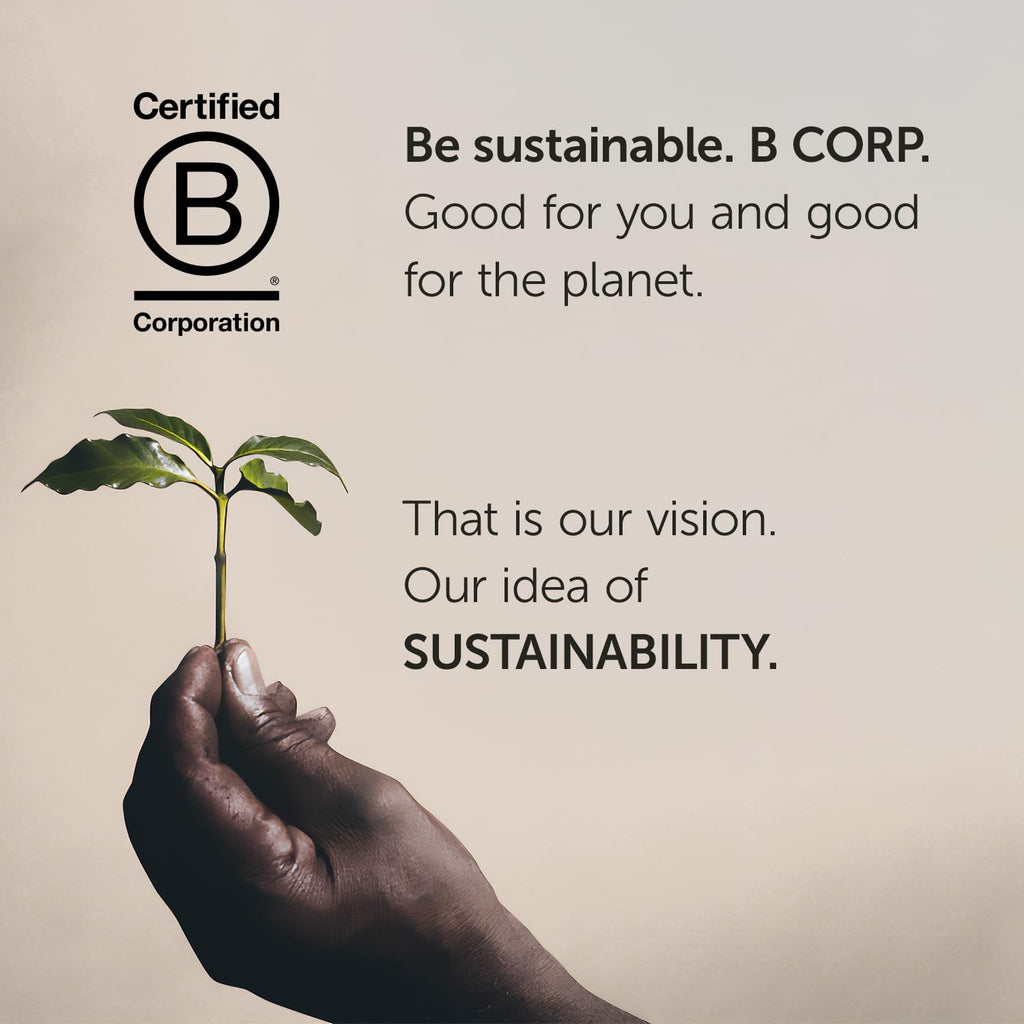 illy Arabica Selections Brasile - Cerrado Mineiro Whole Bean Coffee, Regenerative Agriculture Coffee, 8.8oz (Pack of 1)