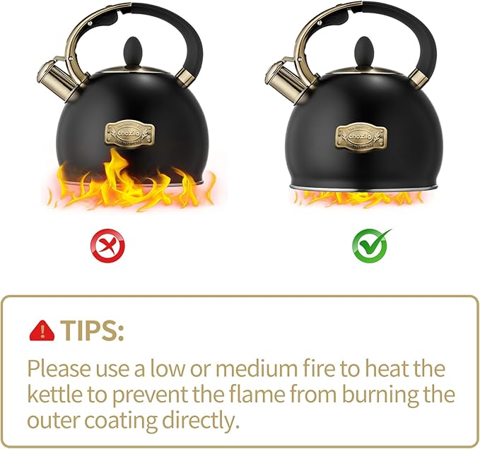 Stovetop Tea Kettle - 2.64 Quart Whistling Tea Pot for Stove Top, Stainless Steel Tea Kettle for All Stovetops Including Induction, Gas, Electric | Ergonomic Pouring Design