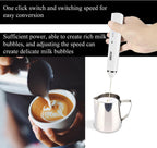 Delm Milk Frother Electric USB Stainless Steel Accessory - Frother Wand Foam Maker for Lattes - Milk Frother Handheld for Cappuccino, Frappe, Matcha, Hot Chocolate - Frother for Coffee (white)