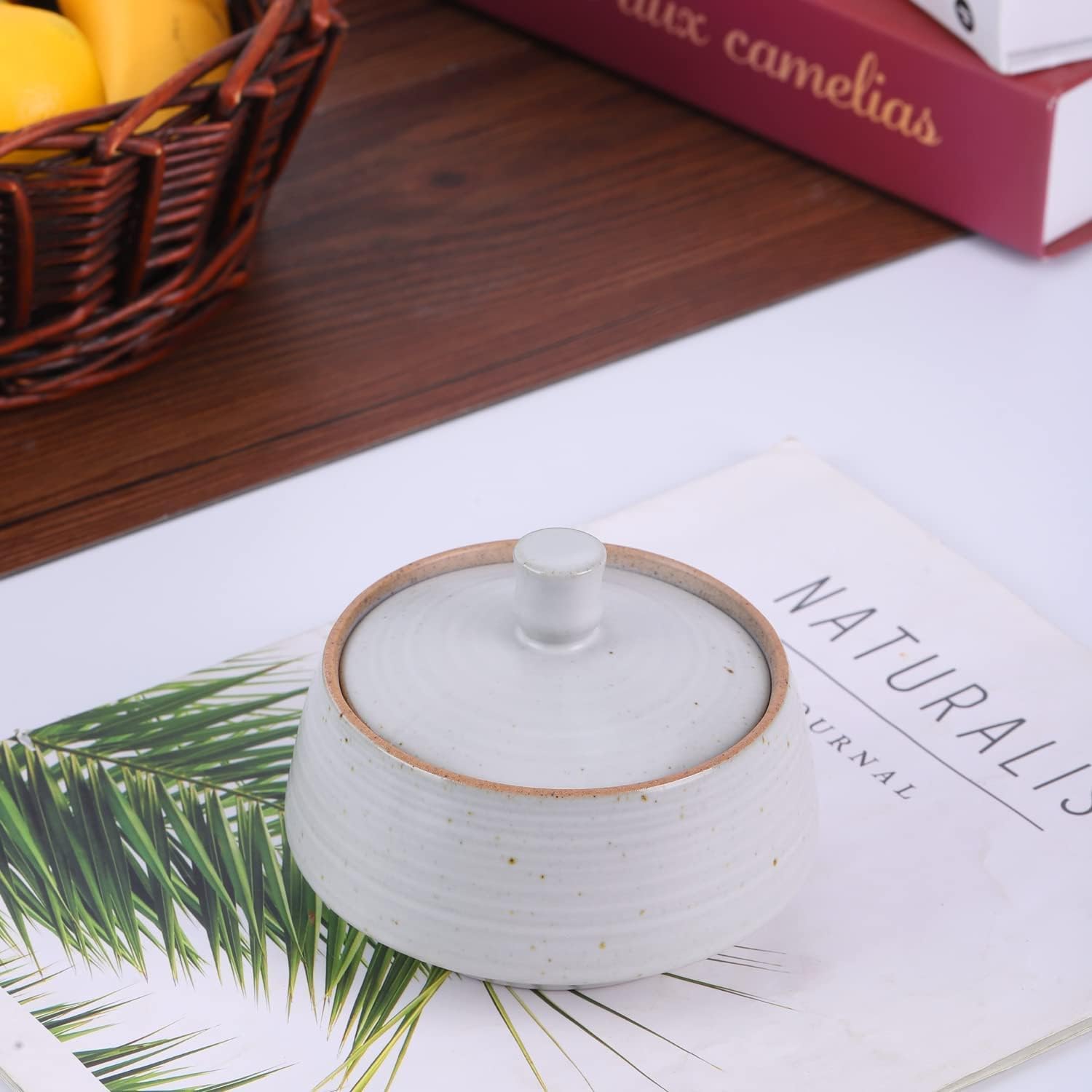 Retro Kitchen Ceramic Canister, 13.53 FL OZ (400 ML) Vintage Food Storage Jar for Tea, Coffee Beans, Herb, Candy, Spices, Nuts (White)