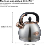 Tea Kettle -2.8 Quart Tea Kettles Stovetop Whistling Teapot Stainless Steel Tea Pots for Stove Top Whistle Tea Pot