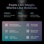 Echo Flask Hydrogen Water Bottle - Active Hydration Solution with Water Intake Tracking & LCD Touch Screen - Compact & Convenient - Transparent Hydrogen Flask - 12 oz