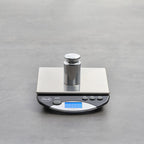 American Weigh Scales Calibration Weight for AWS Digital Scale, Stainless Steel, Carbon Steel, Chrome Finish, 300G (300WGT)