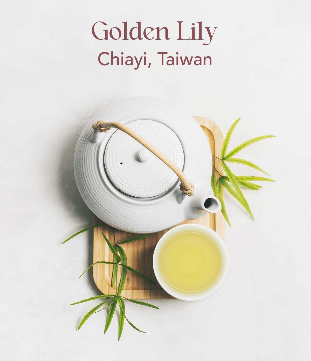 OOTINE, Golden Lily Taiwan Oolong Tea (12 Pyramid Sachets) | Floral and Milky Notes, Lightly Oxidized for A Taste Closer to Green/White Tea | Hand-Picked Quality Whole Leaves in Plant-Based Sachets | Perfect for After-Meal Digestion | Multiple Infusions