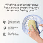 Vove. | Earth-Friendly Kitchen Sponges | 100% Natural | 12 Pack | Long-Lasting | Versatile Cleaning | Plastic Free | Washing up Sponge | Cellulose | Non-Scratch Scrubber | Compostable