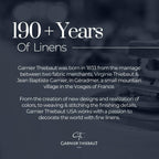 Garnier Thiebaut Champagne Des Fees Mousse (Fairy Champagne) French Kitchen Towel 22"x30", Cotton, Jacquard