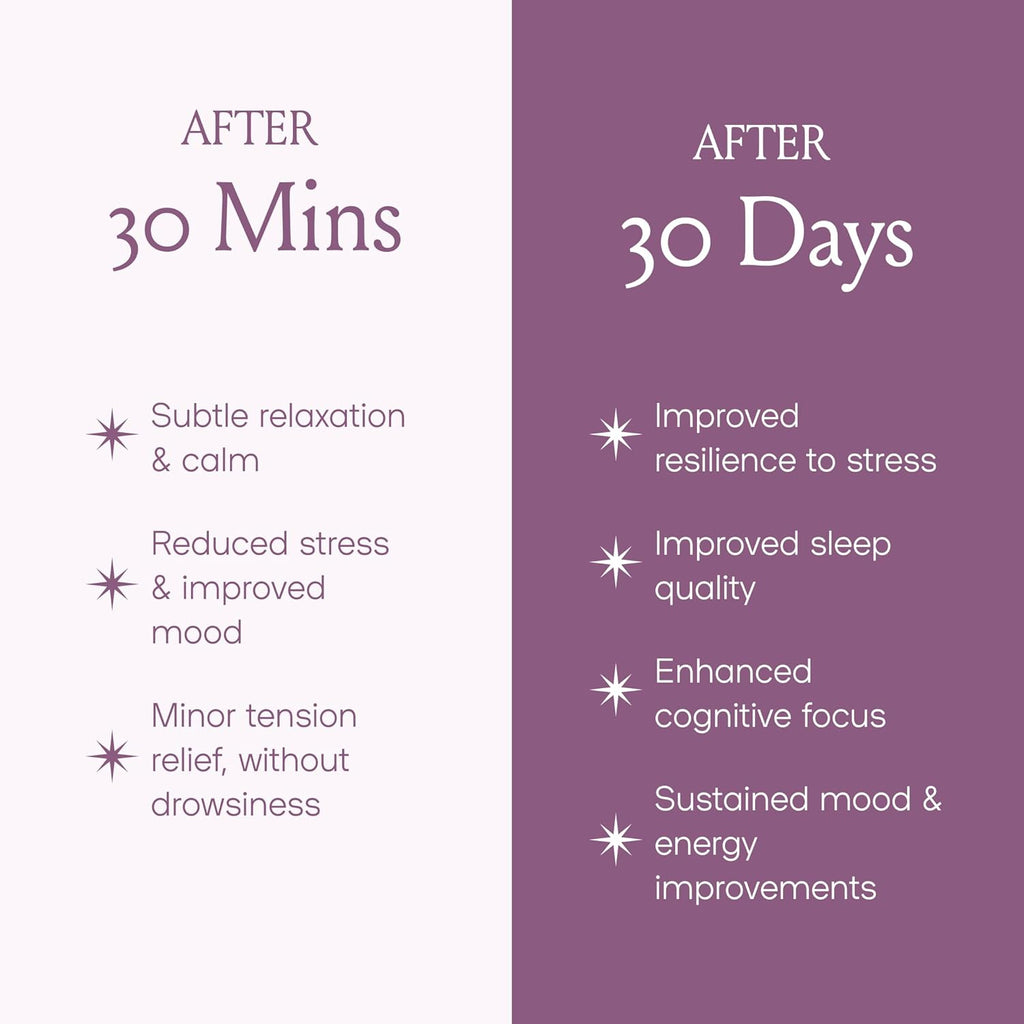 SPACE AND TIME Relax - Mushroom Chai Tea - 20 Cups of Calm & Relaxation - Mushroom Tea with Reishi, Magnesium & L-Theanine