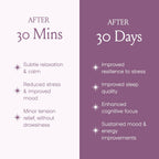 SPACE AND TIME Relax - Mushroom Chai Tea - 20 Cups of Calm & Relaxation - Mushroom Tea with Reishi, Magnesium & L-Theanine