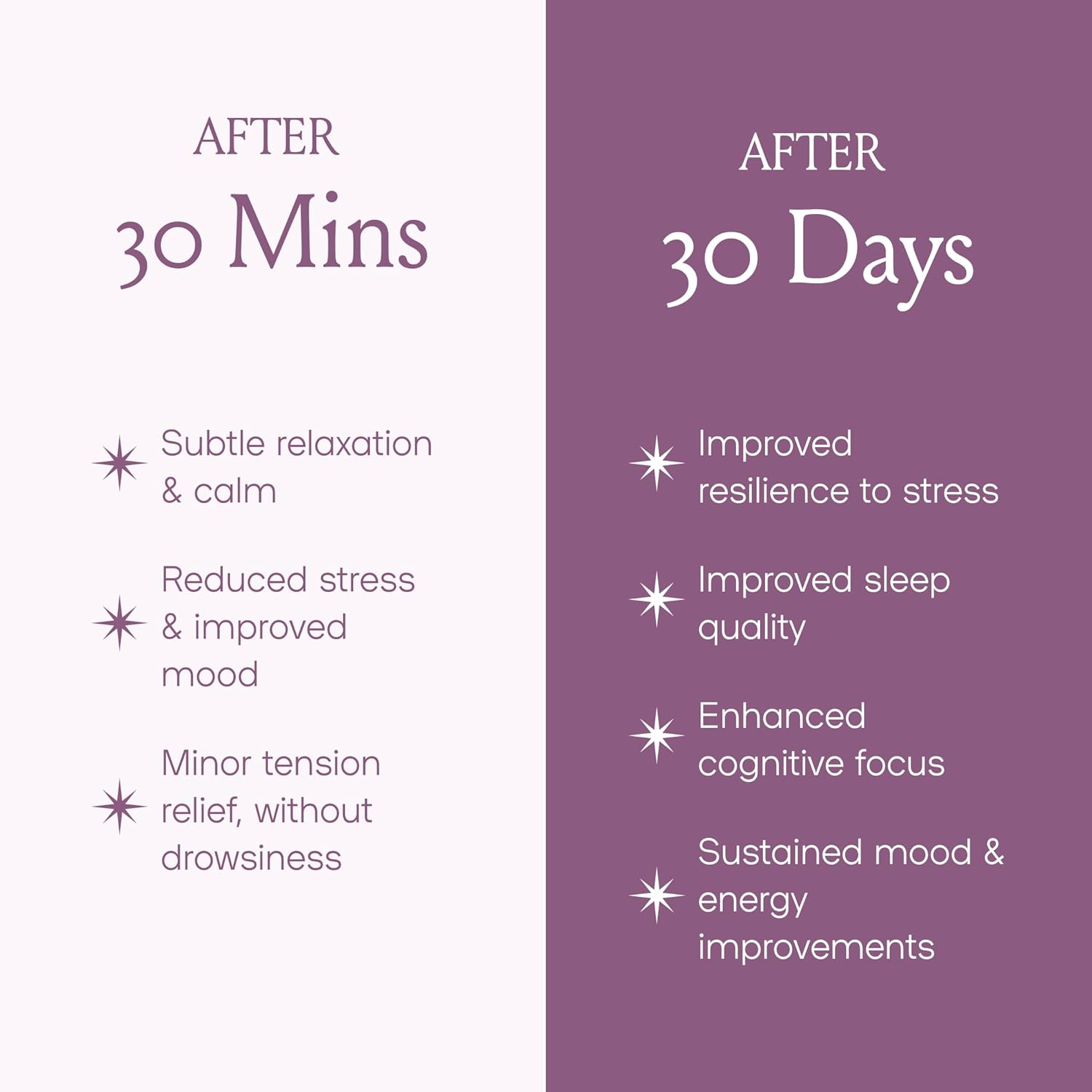 SPACE AND TIME Relax - Mushroom Chai Tea - 20 Cups of Calm & Relaxation - Mushroom Tea with Reishi, Magnesium & L-Theanine