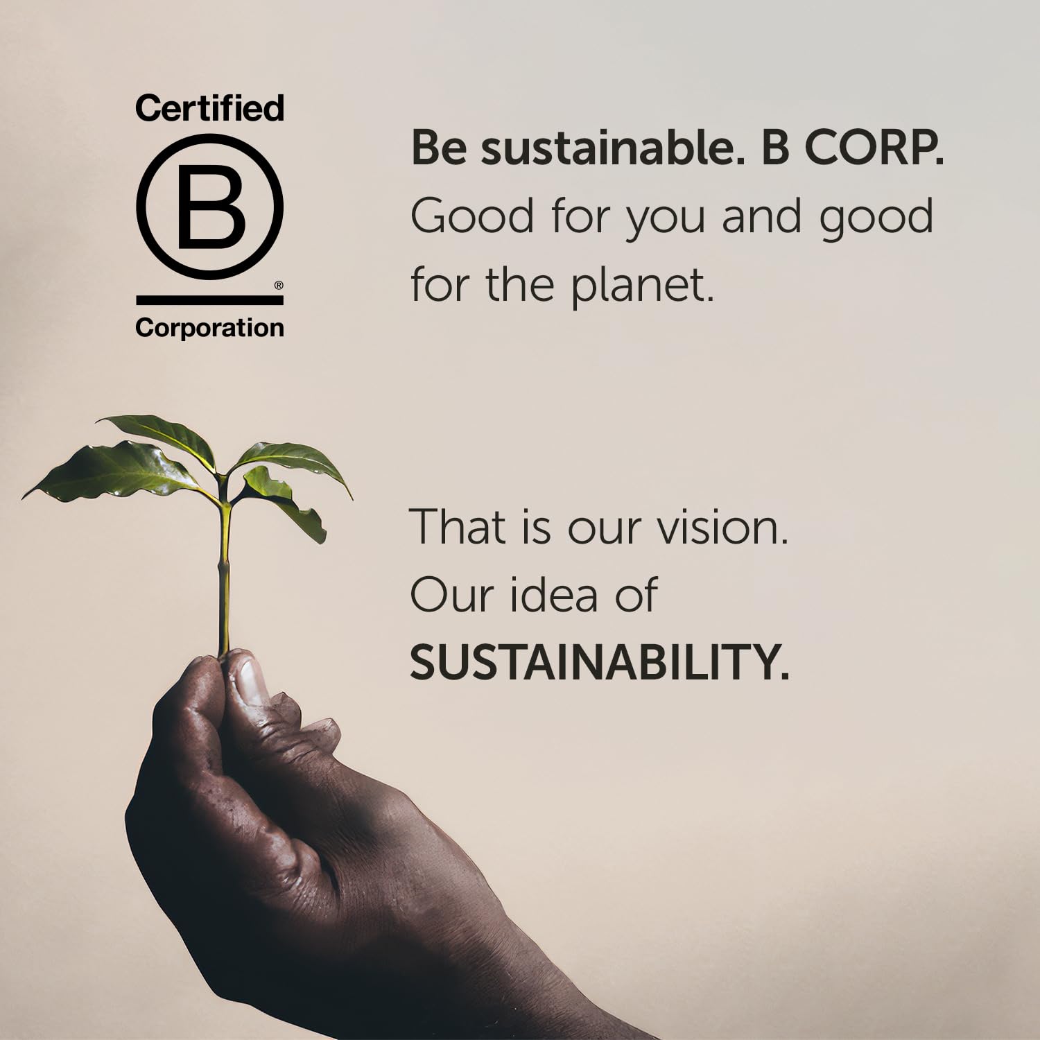 illy Whole Bean Coffee, Arabica Selections, Colombia, Single Origin, Smooth with Notes of Citrus Fruits, 100% Arabica Beans, All-Natural, No Preservatives, 8.8 Ounce Can (Pack of 6)