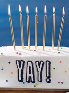 #5 Piping Tip and Bag Set – 3 Round Decorating Tips & 20 Disposable 8" Bags for Dots, Bead Borders, Writing & Designs