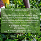 Palais des Thés - Grand Jasmine Chun Feng - Jasmine Green Tea - 3.5oz Loose Leaf Metal Gift Tin, Serves 20-25 Cups