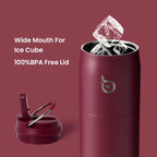 BOTTLE BOTTLE Stainless Steel Water Bottle with Straw and Lid, 32 oz Vacuum Insulated Cup,Stay Cold and Hot， Leak-Proof Wide Mouth Sports Water Bottles red