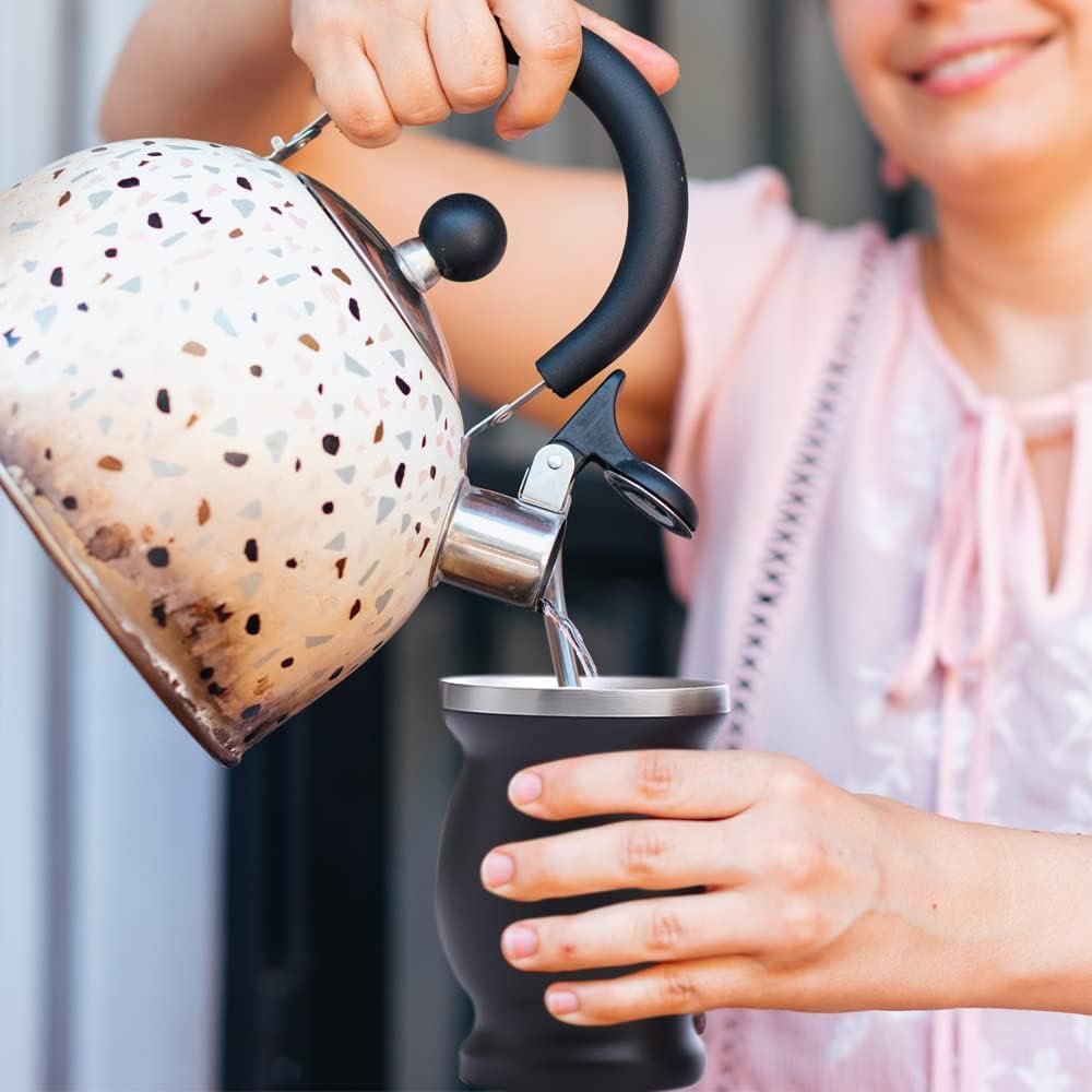 Beruth 8oz Yerba Mate Cup Set, Double Wall 304 Stainless Steel Mate Gourd, Heat Insulated Mug & Anti-Scalding Design, Includes 2 Bombillas & Cleaning Brush （Black）