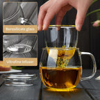 Glass Tea Cup with Infuser and Lid, 17oz/500ml Large Borosilicate Teacup, Clear Mug for Loose Leaf Tea, Blooming Tea, Tea Bags - Perfect Christmas or Birthday Gift for Women