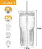 Glass Cups With Lids and Glass Straws，20 OZ High Borosilicate Glass Tumbler Iced Coffee Water Smoothie…