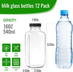 BIGIVACA 16 oz Glass Juice Bottles with Lids,12 PACK Bottles for Juicing,Square Drinking Jars Glass for Coffee,Cola,Milk,Tea in Travel,Work,School