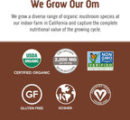 OM MUSHROOM SUPERFOOD Coffee Blend Mushroom Powder, 6.24 Ounce Canister, 30 Servings, Organic Arabica Beans, Lion's Mane, Cordyceps, Turkey Tail, Ginkgo Biloba, Supports Energy and Focus