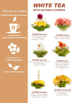 TETWIN Glass Teapot Including 6 Blooming Flower Tea Balls, Stovetop Safe Tea Pot with Removable Infuser for Loose Leaf Tea, 1000ml / 33.8oz