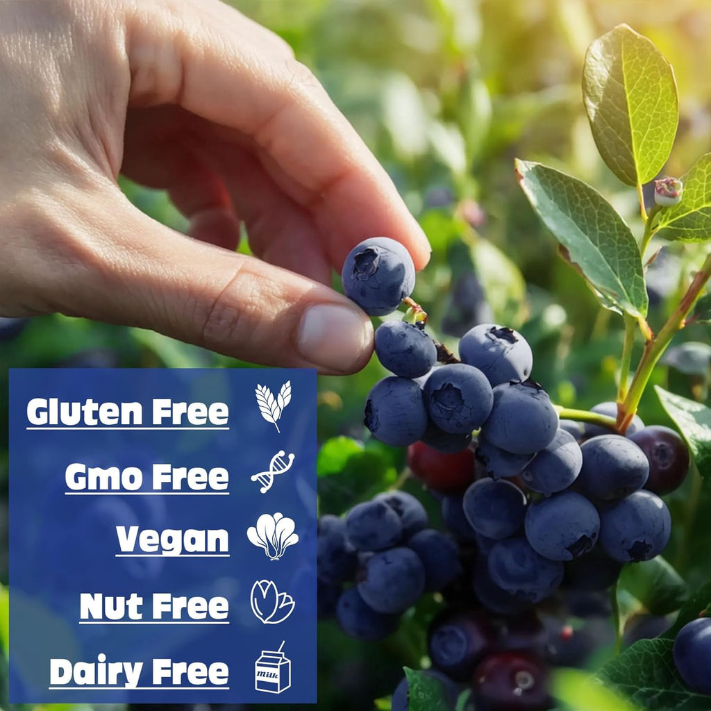 Freeze Dried Blueberry Powder - Kiigfood 6 oz/170g Natural Blueberry Powder Fruit Powder, Organic Blueberry Extract for Smoothie, Drinks, Baking, Cakes Decoration - Vegan, Non-GMO, Gluten-Free