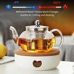 Glass Teapot Stovpetop Safe,20 oz/ 600 ml Stove Top & Microwave Safe Small Borosilicate Glass Kettle with Loose Leaf Tea Strainer For Flower Blooming Tea, Clear