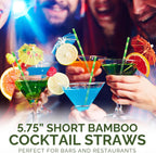 5.75 inch Short Bamboo Paper Straws & Stirrers for Cocktail and Coffee - 100% Biodegradable and Compostable [500 Counts]