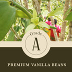 Cook's, Choice Premium Quality Pure Vanilla Extract, 4 oz