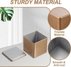 PATIKIL Metal Tea and Tin Set 3.35"x3.35"x3.35", 2 Pcs Metal Storage Airtight Storage Square Container with Lid for Loose Tea Coffee Candy Treats Gifts Spice DIY, Champagne