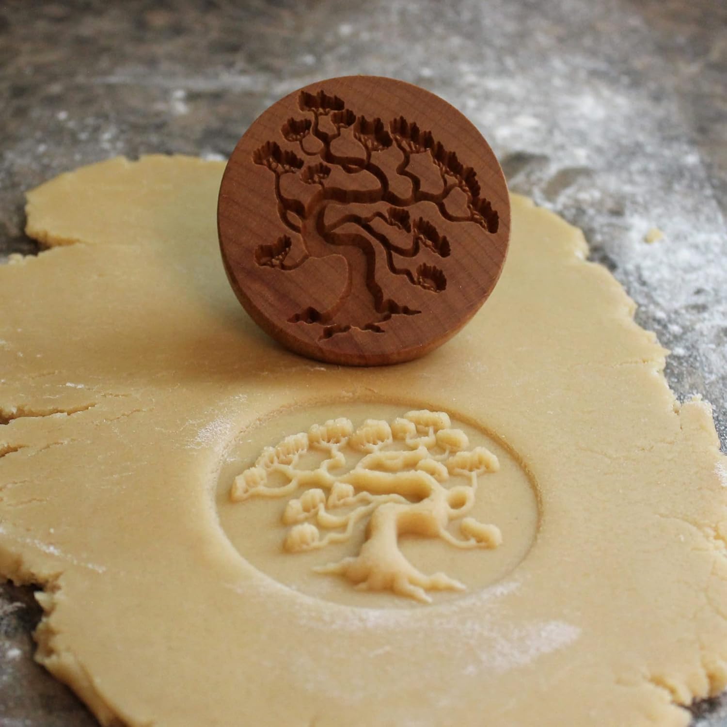 Wood Cookie Stamp, 2.5 Inch (Bonsai Pine CS-064)