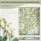 Spsyrine Serving Tray with Handles, Plastic Decorative Tray for Coffee Table, Living Room, Home Decor, 3040C