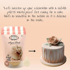 Confect Skin Fondant | Icing Fondant | Colored Fondant | Fondant Kit | Cake Fondant | Chefs Choice Edible Fondant for Cakes Decorating | Vegan, Gluten-Free, Nut-Free, Palm Oil-Free – 8.8 Oz