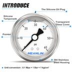 MEANLIN MEASURE 0~60Psi Stainless Steel 1/4" NPT 2.5" Single Scale FACE DIAL, Glycerin Filled Pressure Gauge, Pool Sand Filter, Back Mount, with 1/4" x 1/2" NPT and 1/4" x 3/8" NPT Hex Bushing