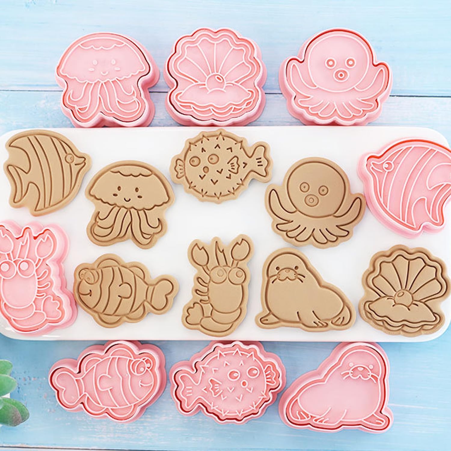 16Pcs Ocean Animal Cookie Cutters with Plunger Stamps Set, Fish, Dolphin, Starfish Plastic Biscuit Cutters, Sea Themed DIY Embossing Cutter for Biscuit Cookie Fondant Cheese Baking (F16)