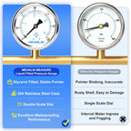 MEANLIN MEASURE 0~60Psi Stainless Steel 1/4" NPT 2.5" FACE DIAL Liquid Filled Pressure Gauge, Pool Sand Filter Pressure Test Center Back Mount, with 1/4" x 1/2" NPT and 1/4" x 3/8" NPT Hex Bushing