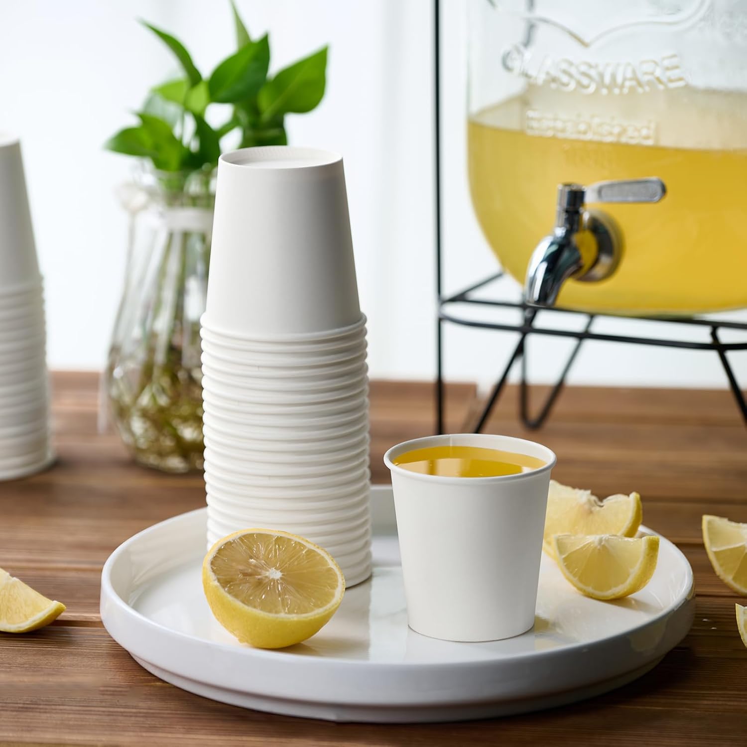 LITOPAK 300 Count 6 oz Paper Cups, Disposable White Paper Coffee Cups, Hot Beverage Drinking Cup for Coffee, Water, Juice, and Espresso