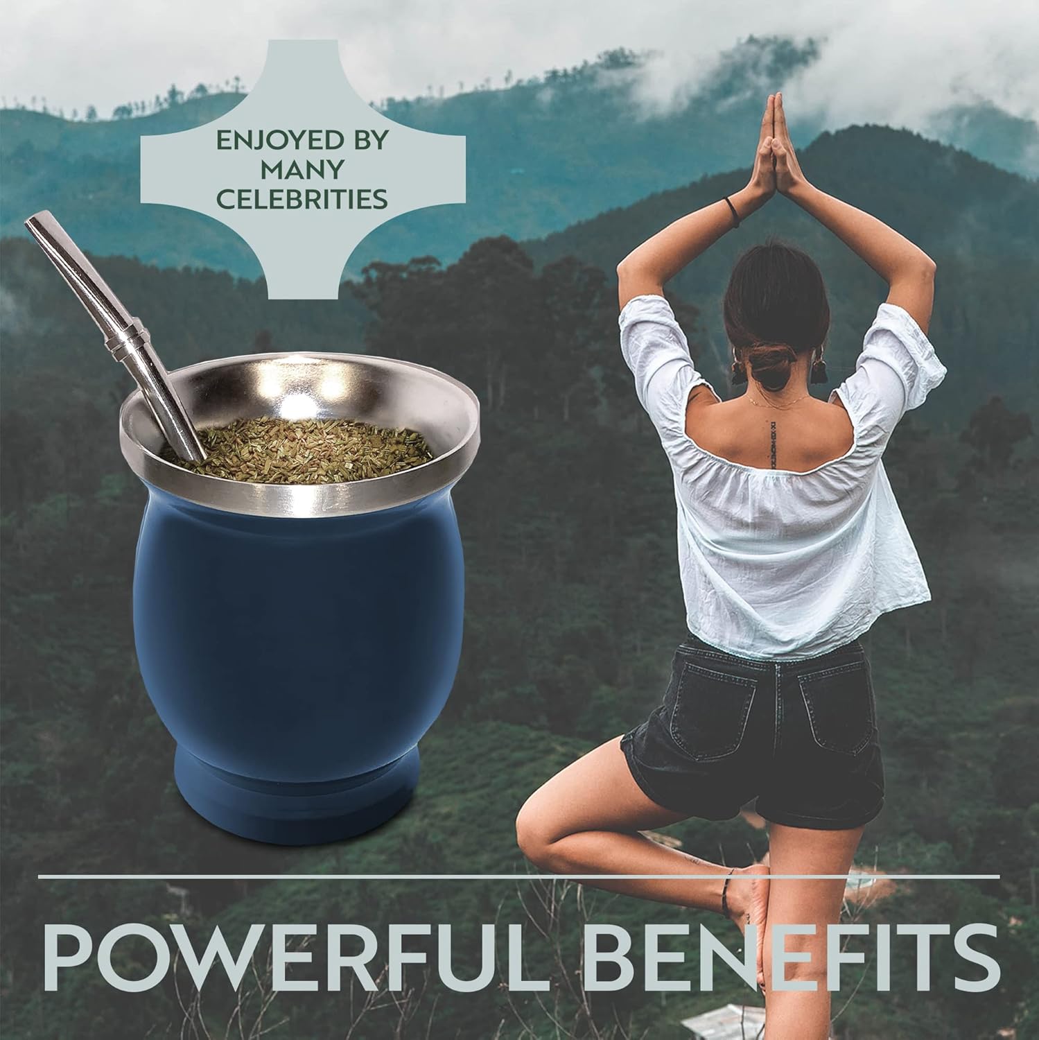 Norte Yerba Mate Cup Kit, 8-Ounces Traditional Mate Tea Cup/Gourd Set | Includes 2 Bombillas (Yerba Mate Straw) & Cleaning Brush, Stainless Steel Cup, Double-Walled, Easy to Clean | Blue