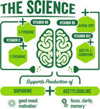 BrainJuice Focus & Energy Drink Shots, Nootropics with Alpha GPC, B Vitamins & Organic Green Tea Caffeine, Supports Focus, Memory & Clarity, Non-GMO, Gluten Free, Classic, 2.5 fl oz, 12 Pack
