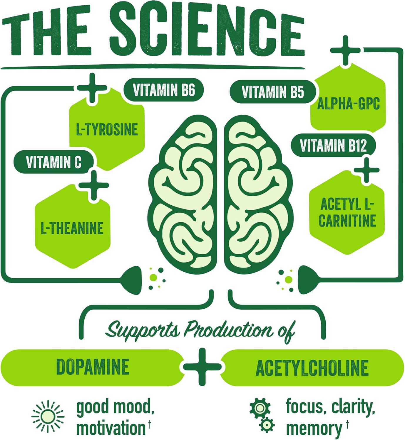 BrainJuice Focus & Energy Drink Shots, Nootropics with Alpha GPC, B Vitamins & Organic Green Tea Caffeine, Supports Focus, Memory & Clarity, Non-GMO, Gluten Free, Classic, 2.5 fl oz, 12 Pack